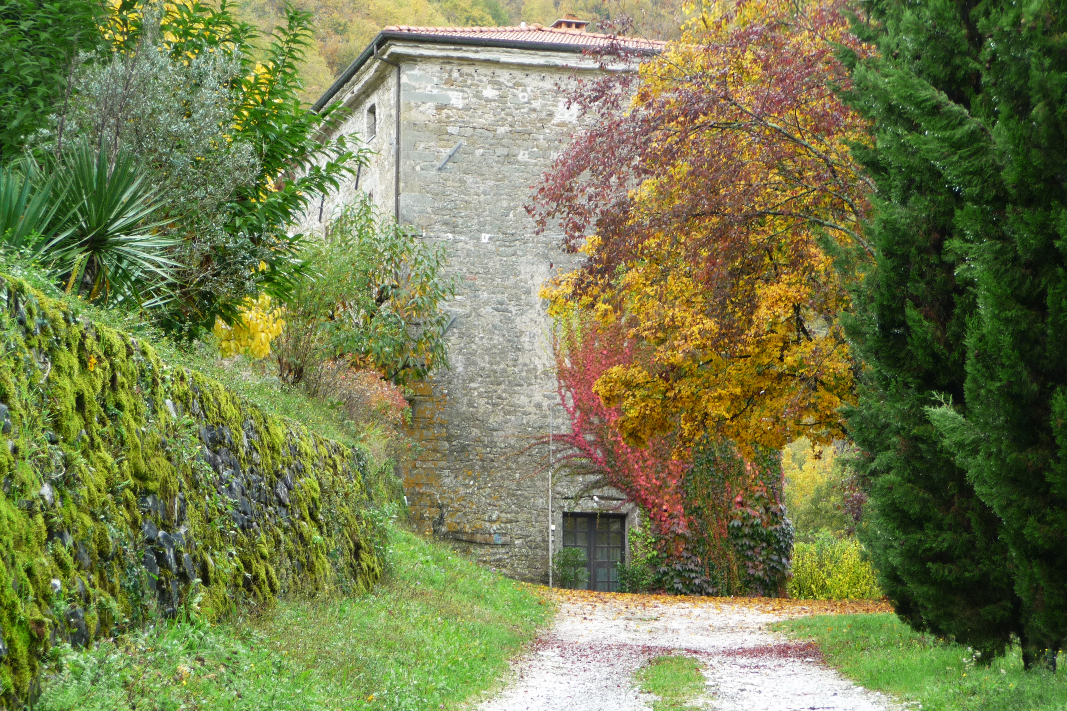 Convento di Santa Marta (ex) (convento) - Casola in Lunigiana (MS) 