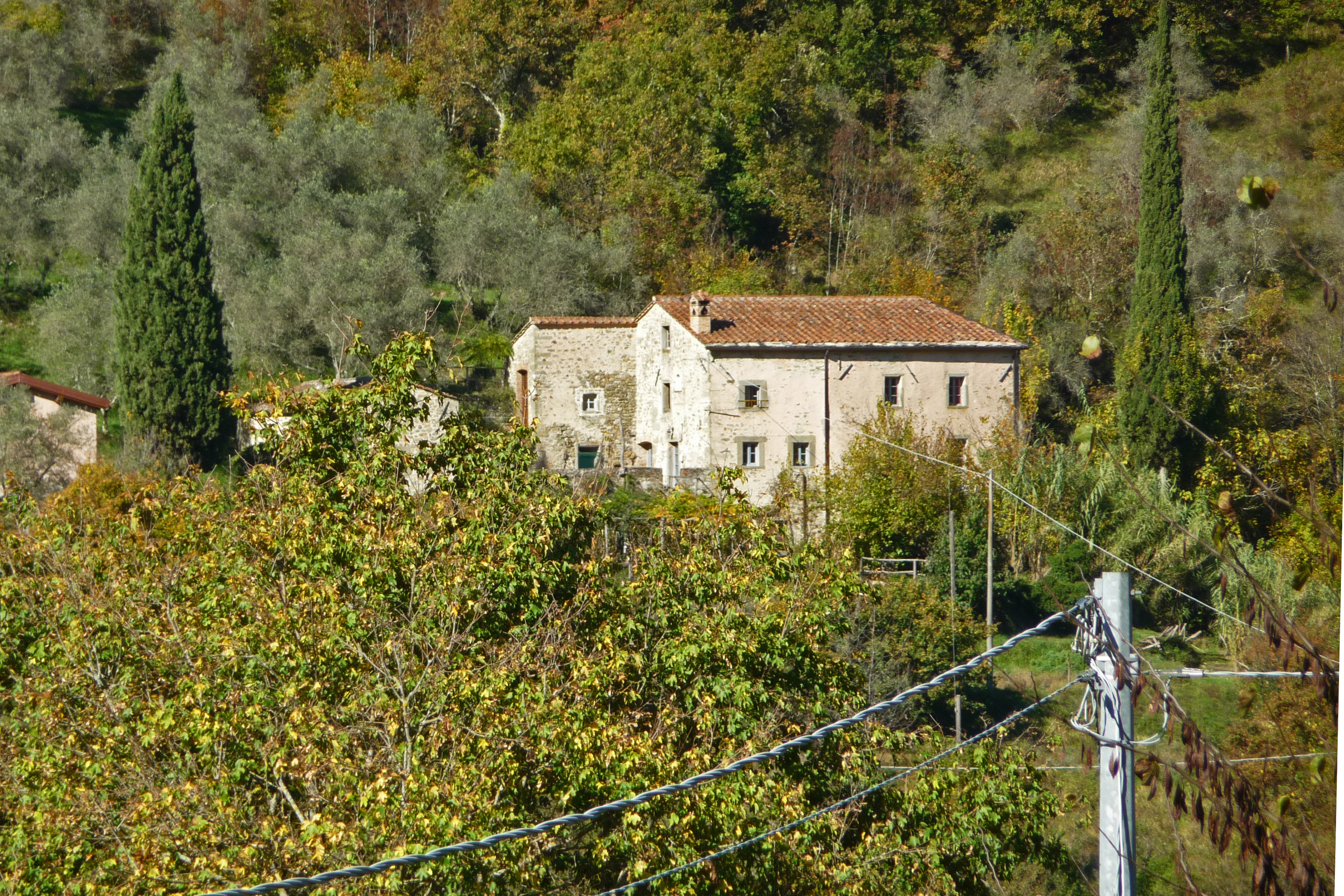 [Casa rurale La Cuncia, in Località Codiponte, Strada vicinale bosco di Licciano, 50] (casa, rurale) - Casola in Lunigiana (MS) 