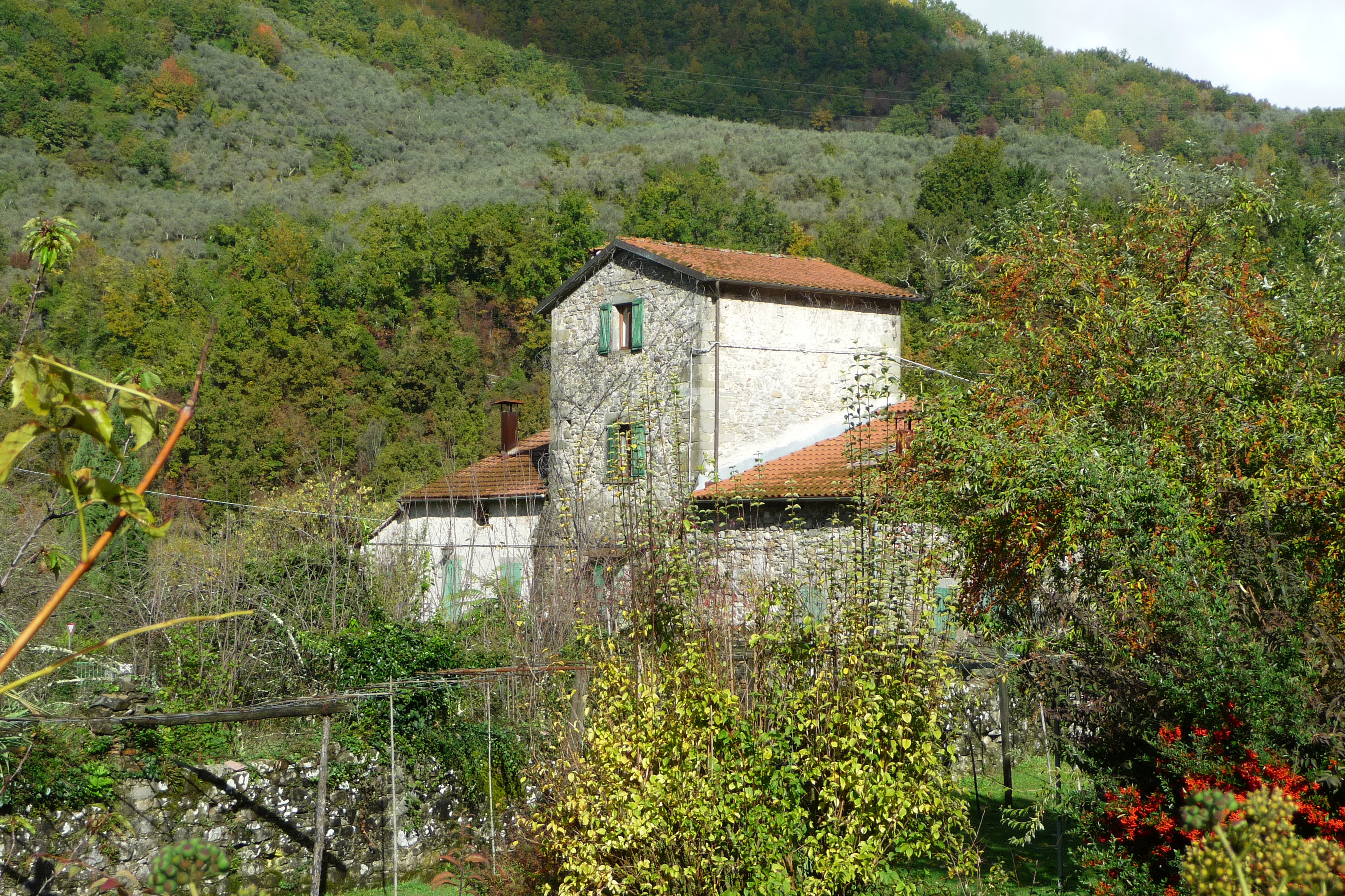[Casa rurale La Colombiera, in Località Codiponte, Strada Comunale di Casciana, s.n.c.] (casa, rurale) - Casola in Lunigiana (MS) 