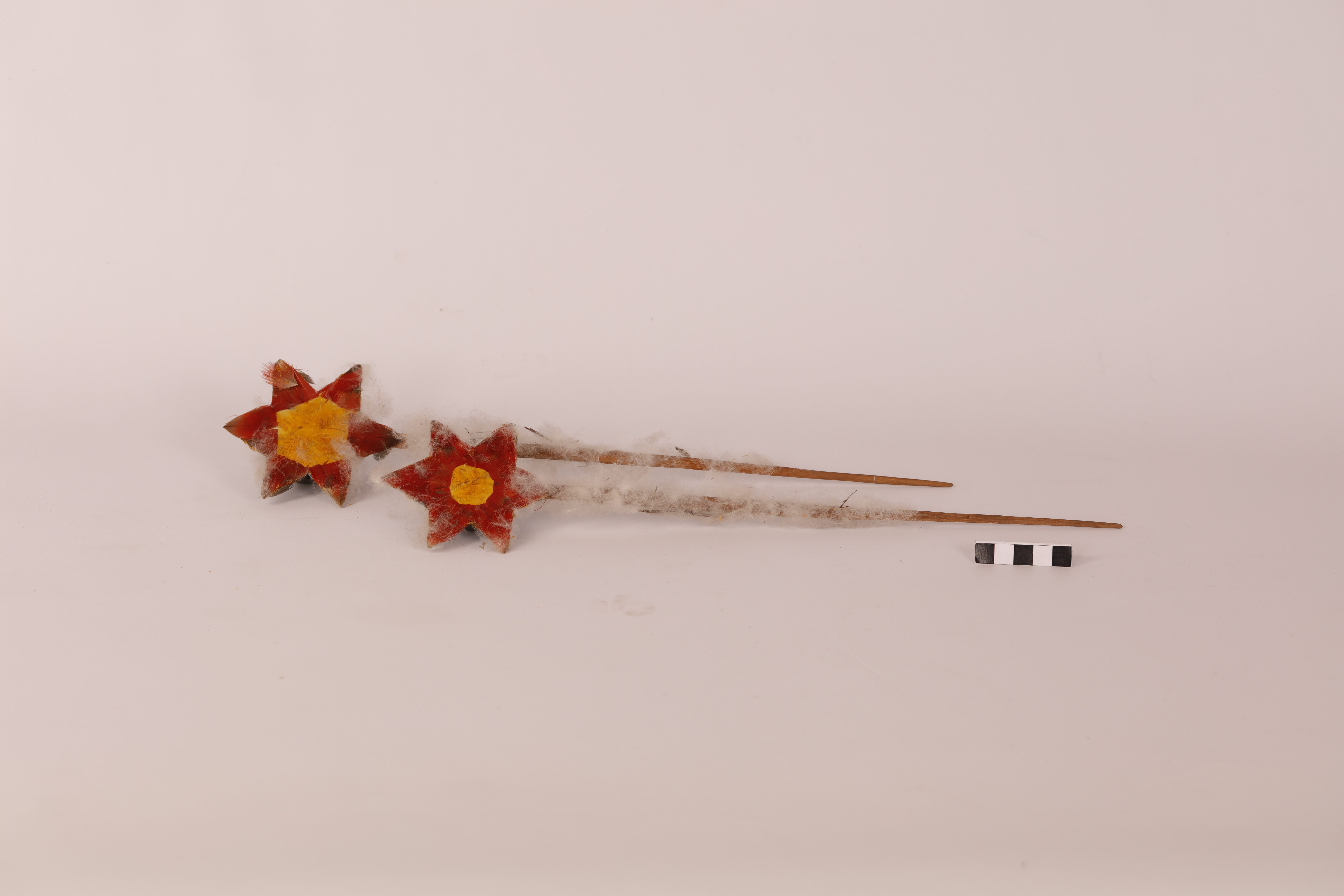 Spilloni, ornamento, ABBIGLIAMENTO E ORNAMENTI DEL CORPO/ ACCESSORI - Bororo