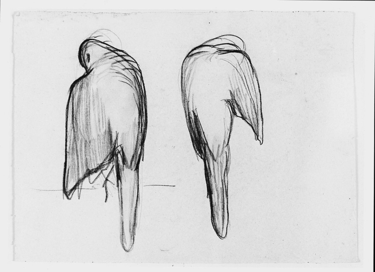 Uccello (Pico), (r.), animali, giovane madre con infante (disegno) di Chaplin Elisabeth (sec. XX)