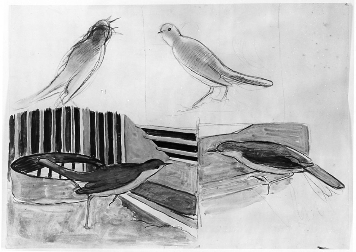 Uccello (Pico), (r.), Uccello (Pico), (v.), animali (disegno) di Chaplin Elisabeth (sec. XX)