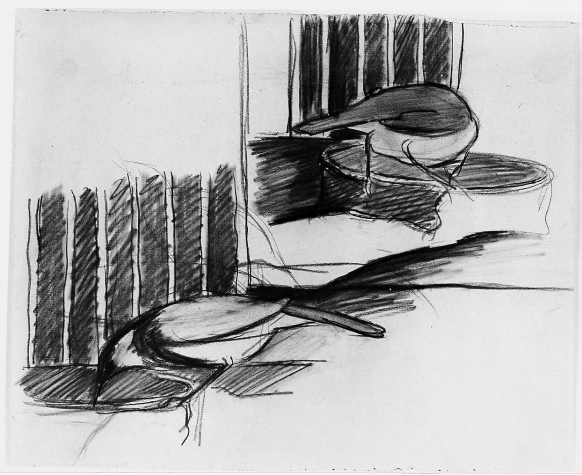 Uccello che si abbevera (Pico), animali (disegno) di Chaplin Elisabeth (sec. XX)