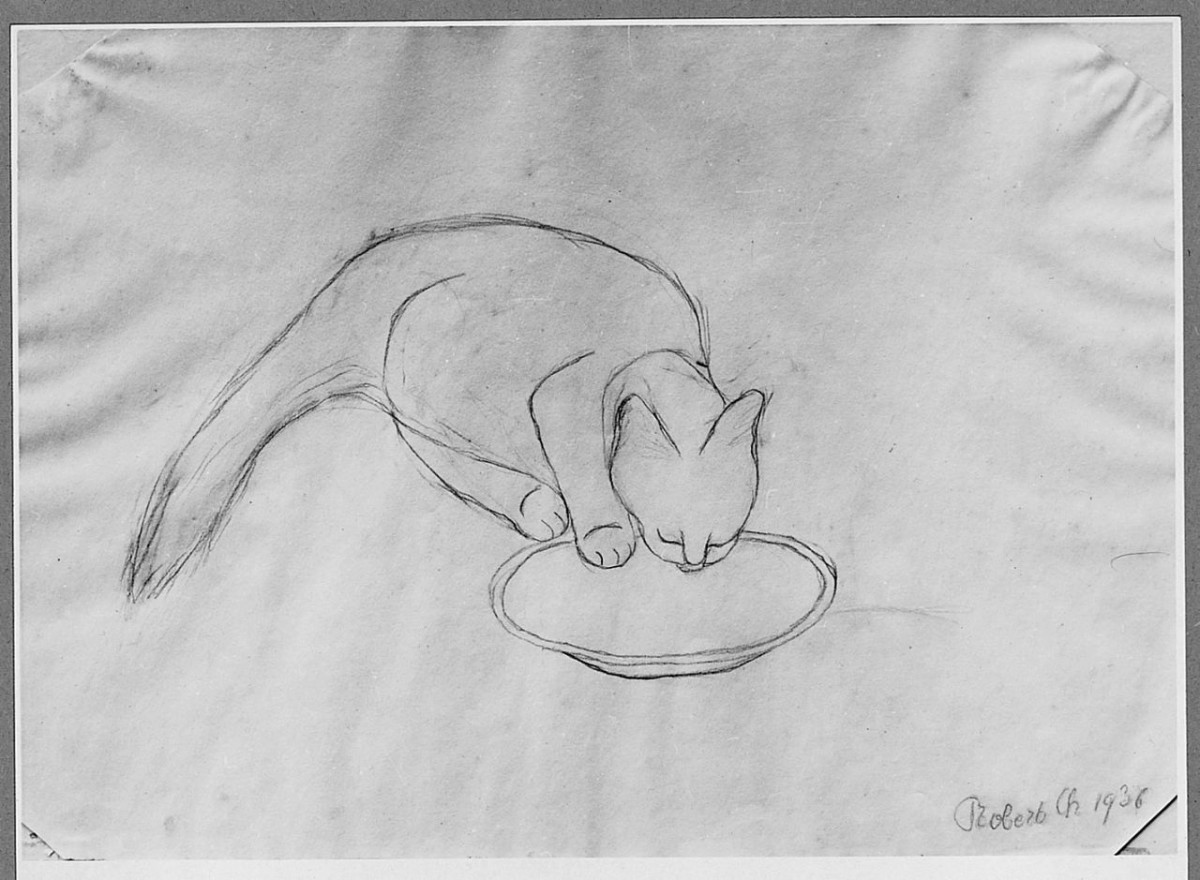 Gatto che beve alla ciotola, animali (disegno) di Chaplin Robert (sec. XX)