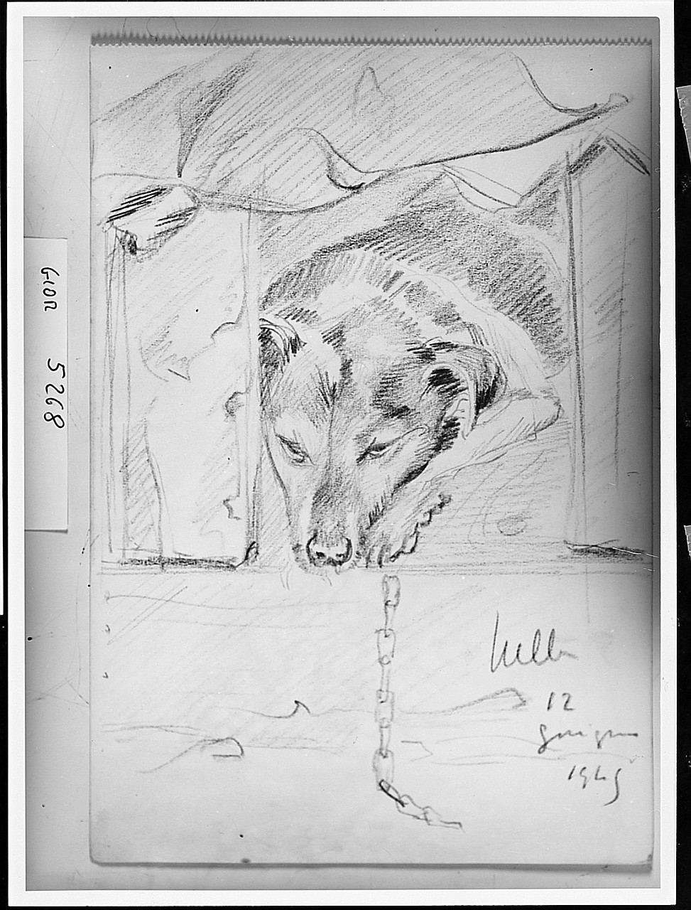 Cane nella cuccia, cane (disegno) di Guarnieri Nella (sec. XX)