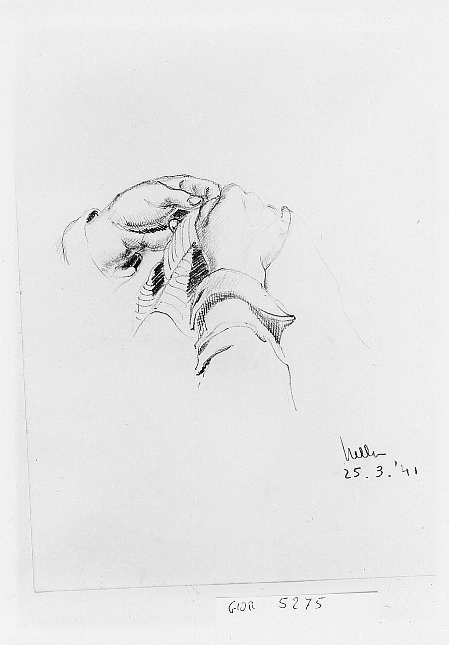 Studio di mani, particolari anatomici (disegno) di Guarnieri Nella (sec. XX)