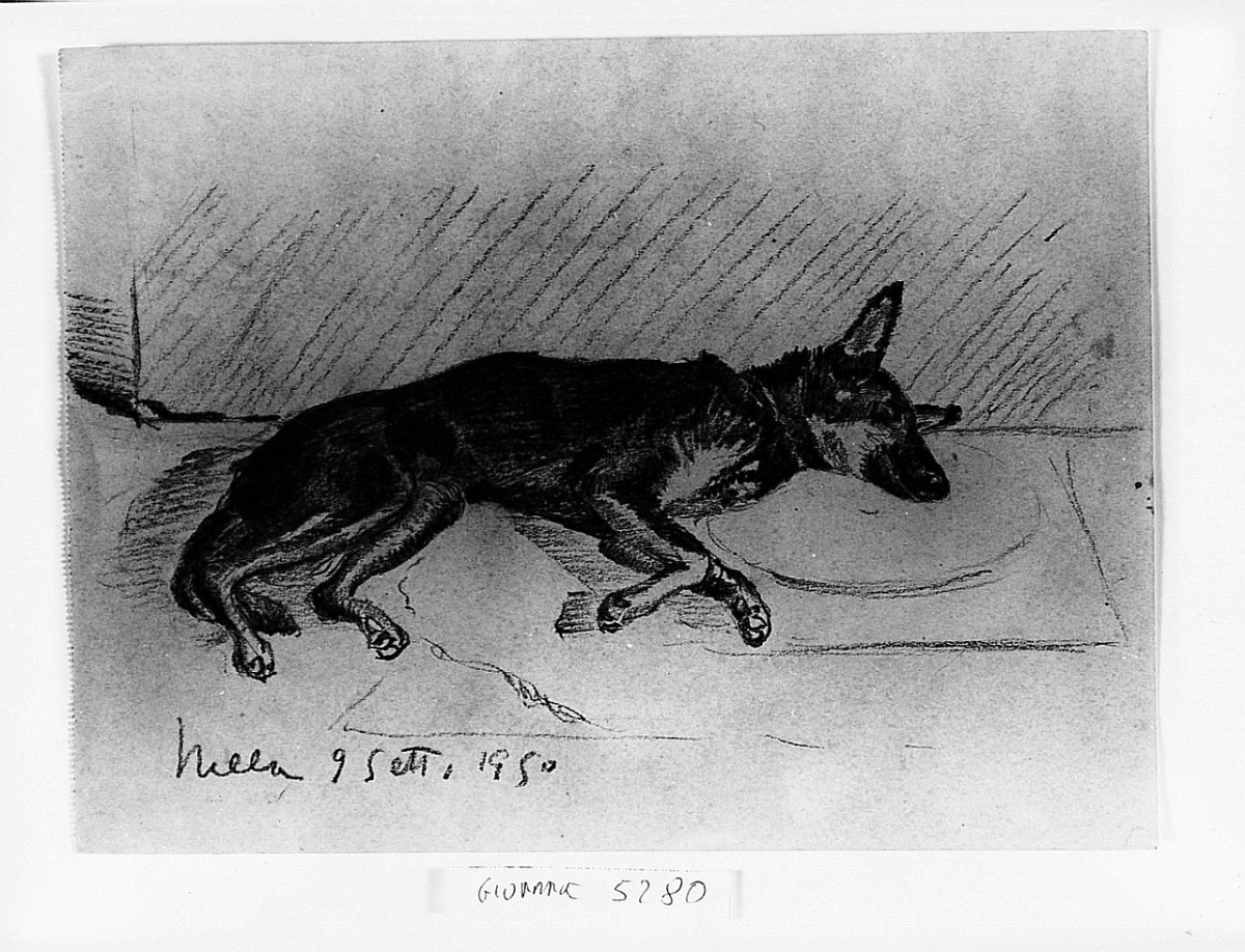 cane (disegno) di Guarnieri Nella (sec. XX)