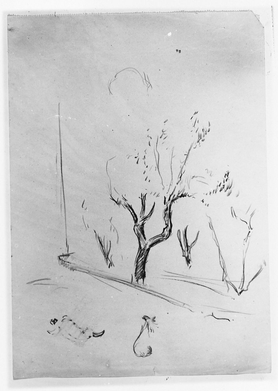 paesaggio con alberi (disegno) di Maestrelli Mario (secondo quarto sec. XX)