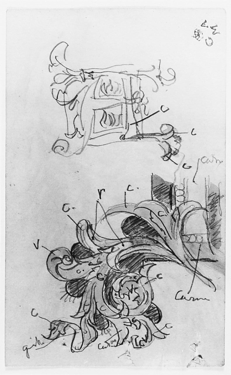 motivi decorativi floreali (disegno) di Cecchi Adriano (sec. XX)