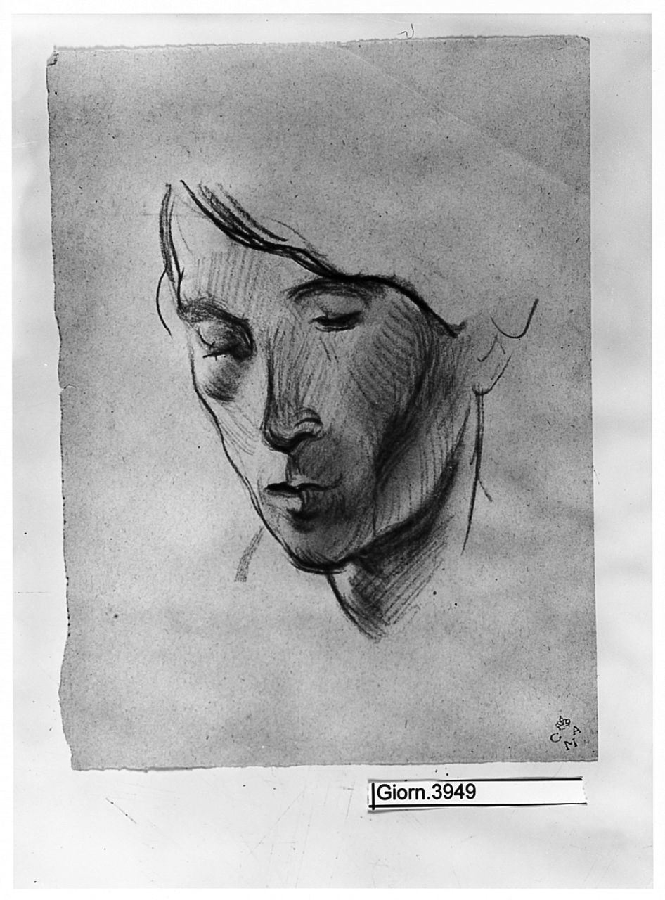 testa d'uomo, animali (disegno) di Chaplin Elisabeth (sec. XX)