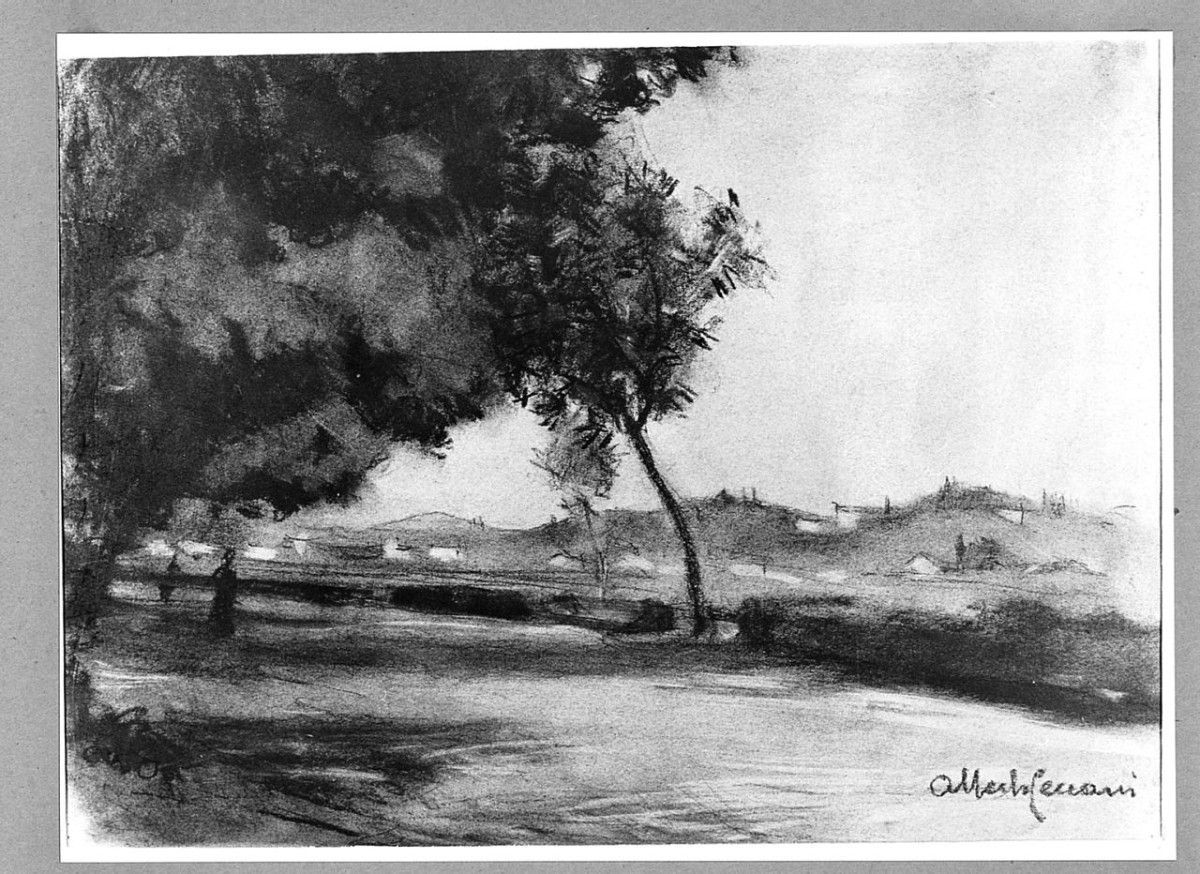 paesaggio con alberi (disegno) di Cecconi Alberto (sec. XX)