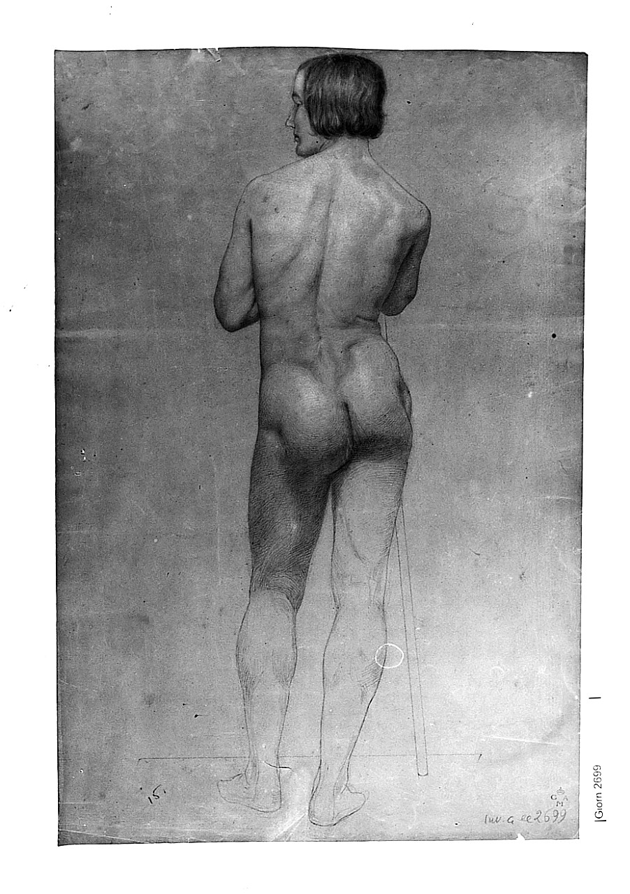 Nudo maschile di spalle, figura maschile (disegno) di Fedi Pio (prima metà sec. XIX)