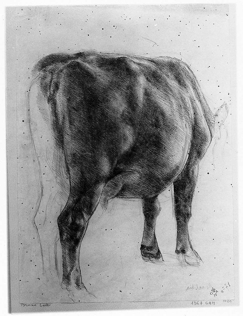 bue (disegno) di Lelli Bruno (sec. XX)