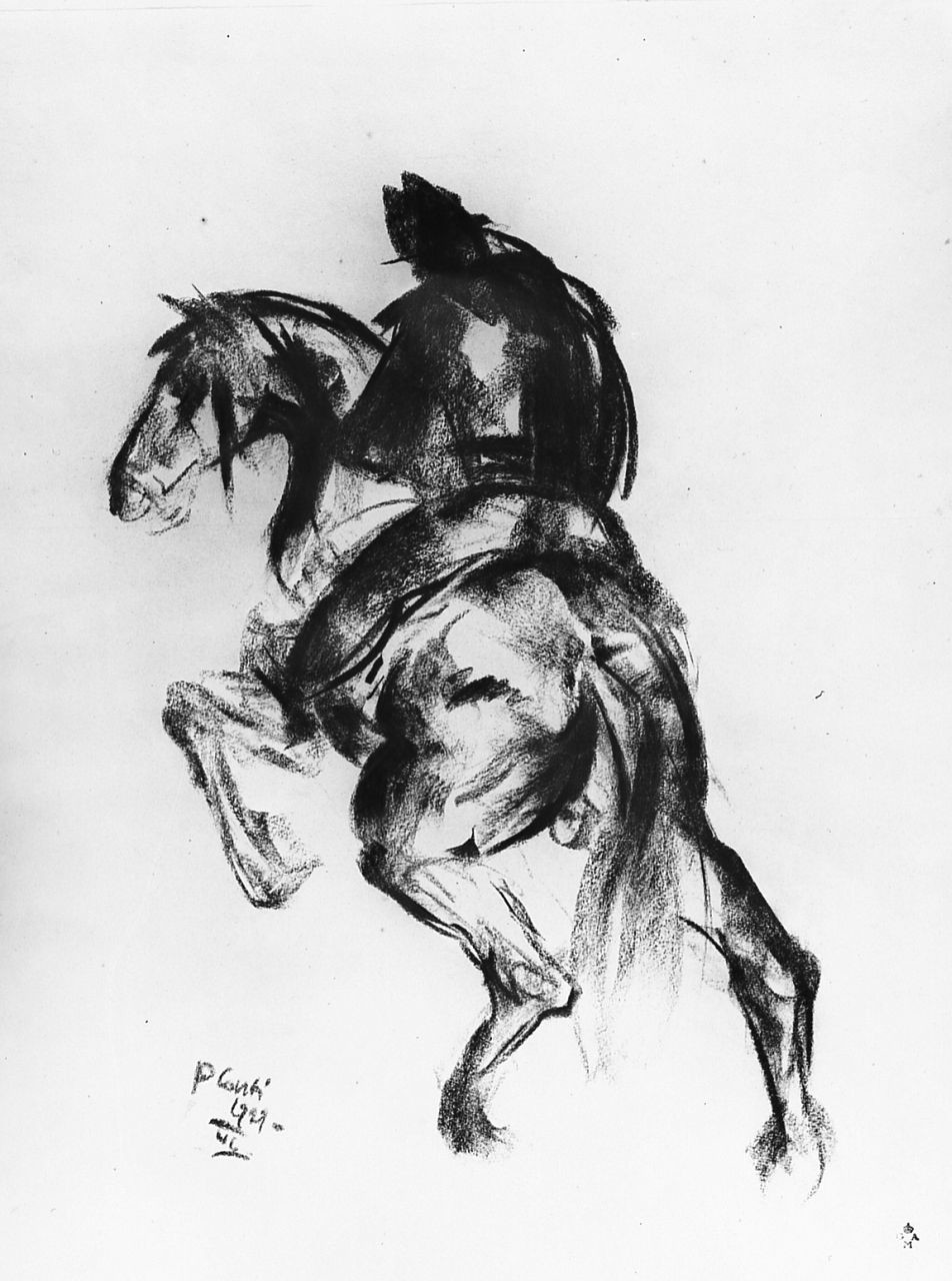 Cavaliere, figura maschile (disegno) di Conti Primo (sec. XX)