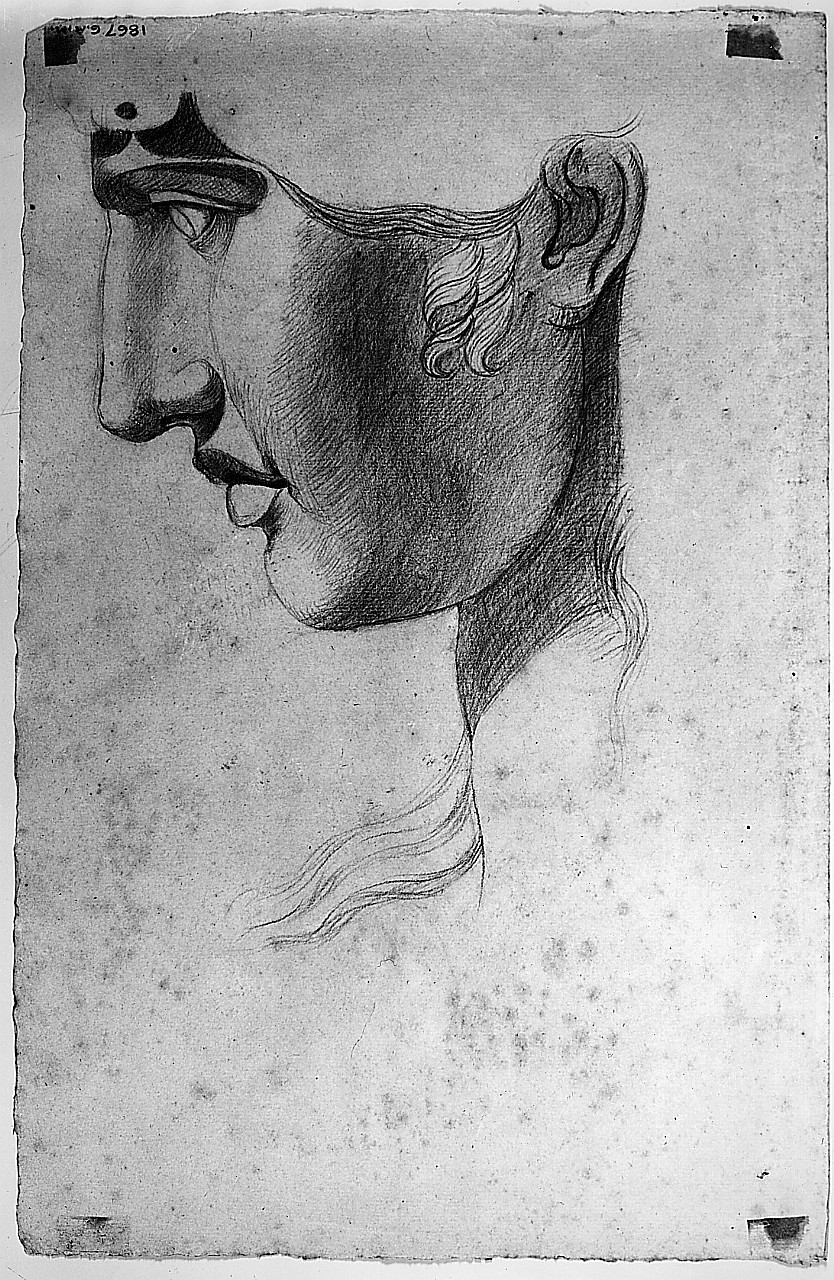 Testa di profilo, (r.), studio dalla Medusa Rondanini, Testa di profilo, (v.), studio dall’Antinoo, Medusa, Antinoo (disegno) di Fedi Pio (prima metà sec. XIX)