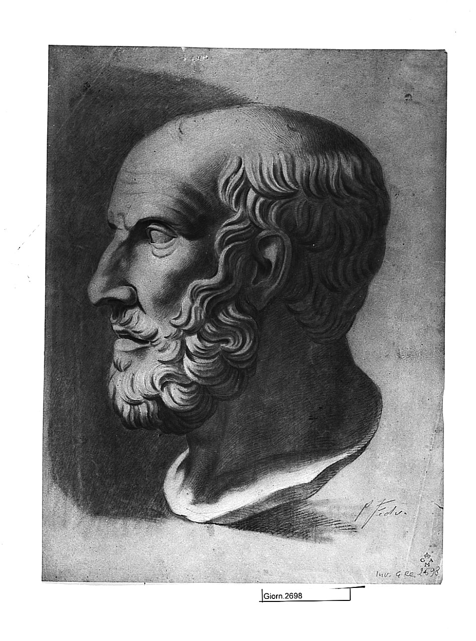 Testa virile, studio, testa d'uomo con barba (disegno) di Fedi Pio (prima metà sec. XIX)