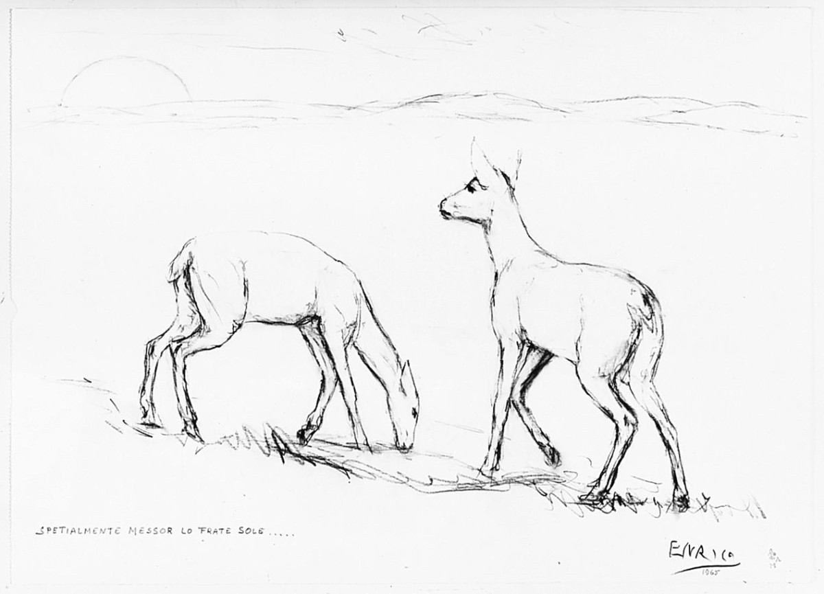 cerbiatti, animali (disegno) di Maccioni Enrico (sec. XX)