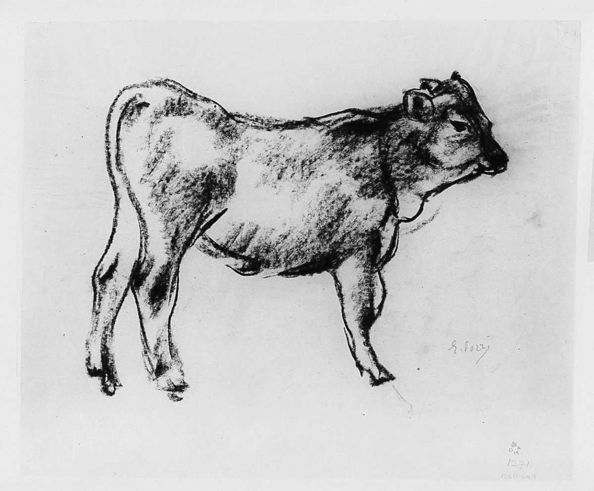 vitellino, animali (disegno) di Pozzi Ennio (sec. XX)