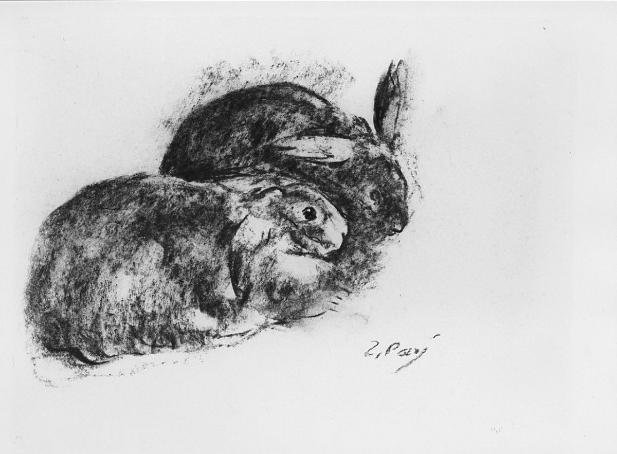 Due conigli, animali (disegno) di Pozzi Ennio (sec. XX)