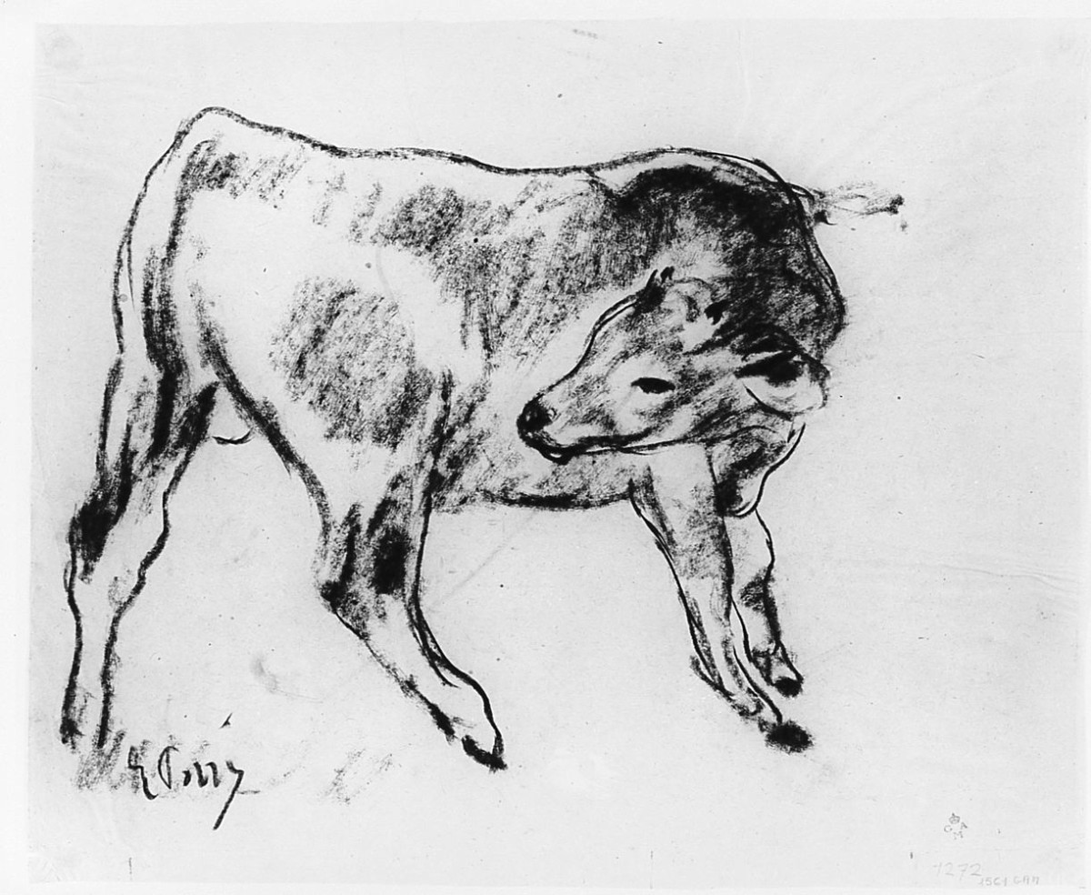 vitellino, animali (disegno) di Pozzi Ennio (sec. XX)