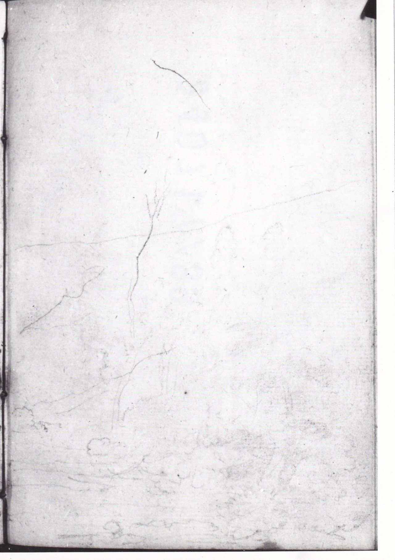 Schizzo di paesaggio con monti e due alberi (v), Veduta con un grande albero frondoso (r) (disegno) di Bezzuoli Giuseppe (sec. XIX)