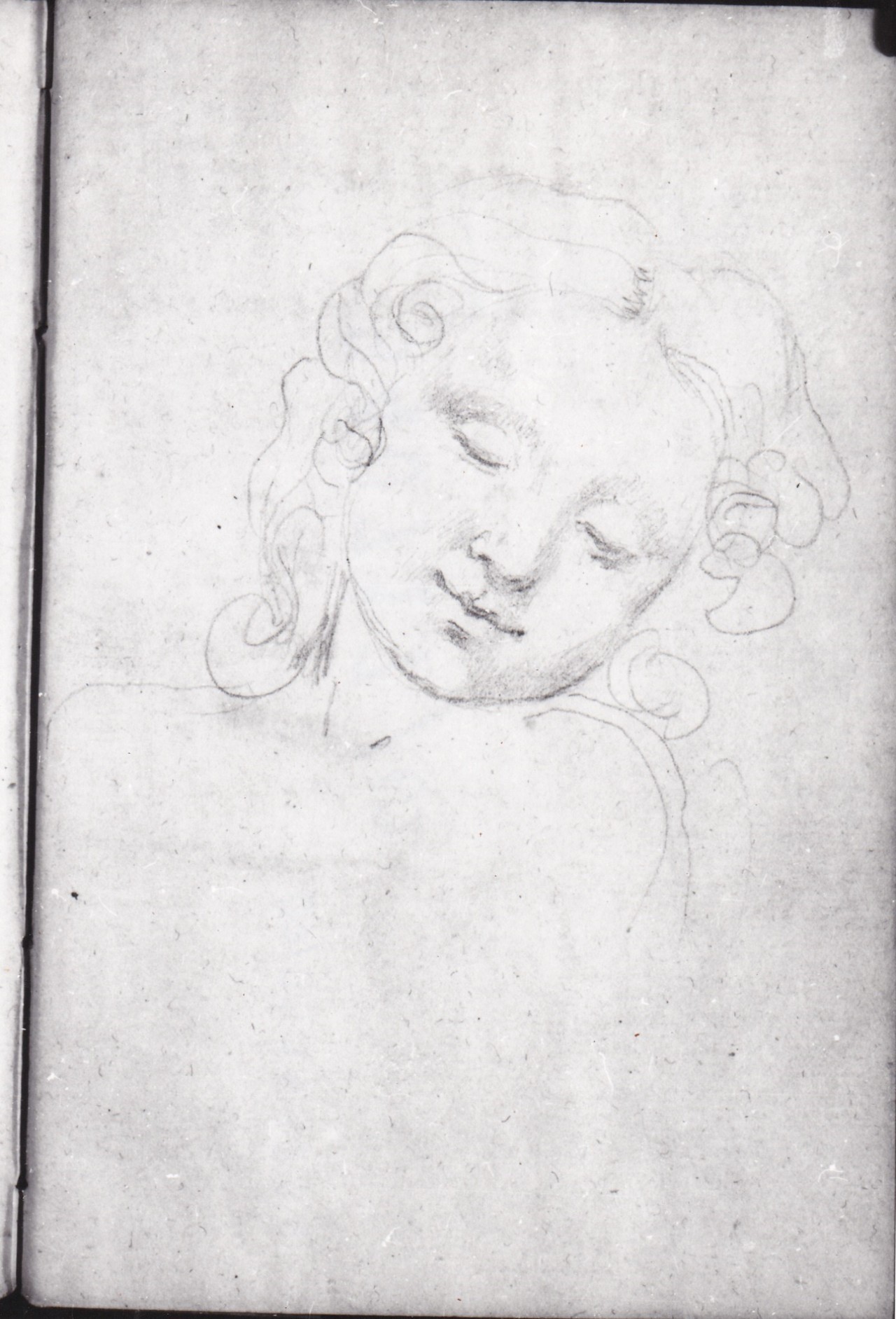 Testa di fanciullo (disegno) di Bezzuoli Giuseppe (sec. XIX)
