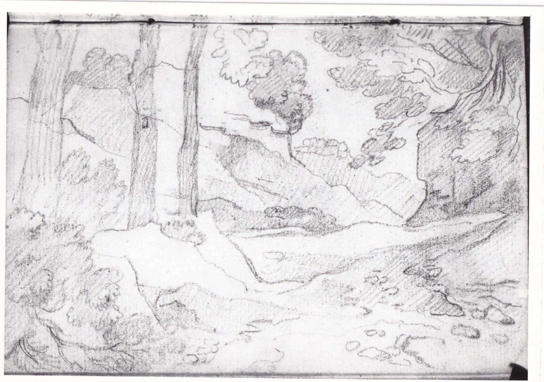 Paesaggio boscoso (r), Due grandi alberi (v) (disegno) di Bezzuoli Giuseppe (sec. XIX)