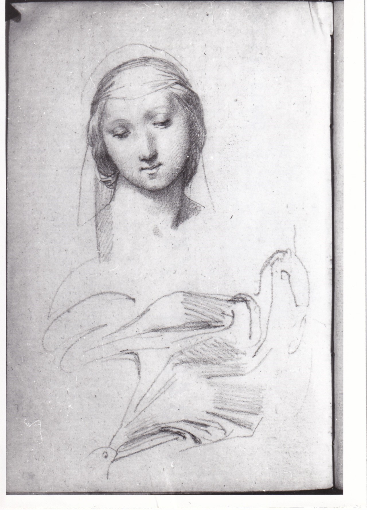 Studio di volto femminile, Studio di panneggio (disegno) di Bezzuoli Giuseppe (sec. XIX)