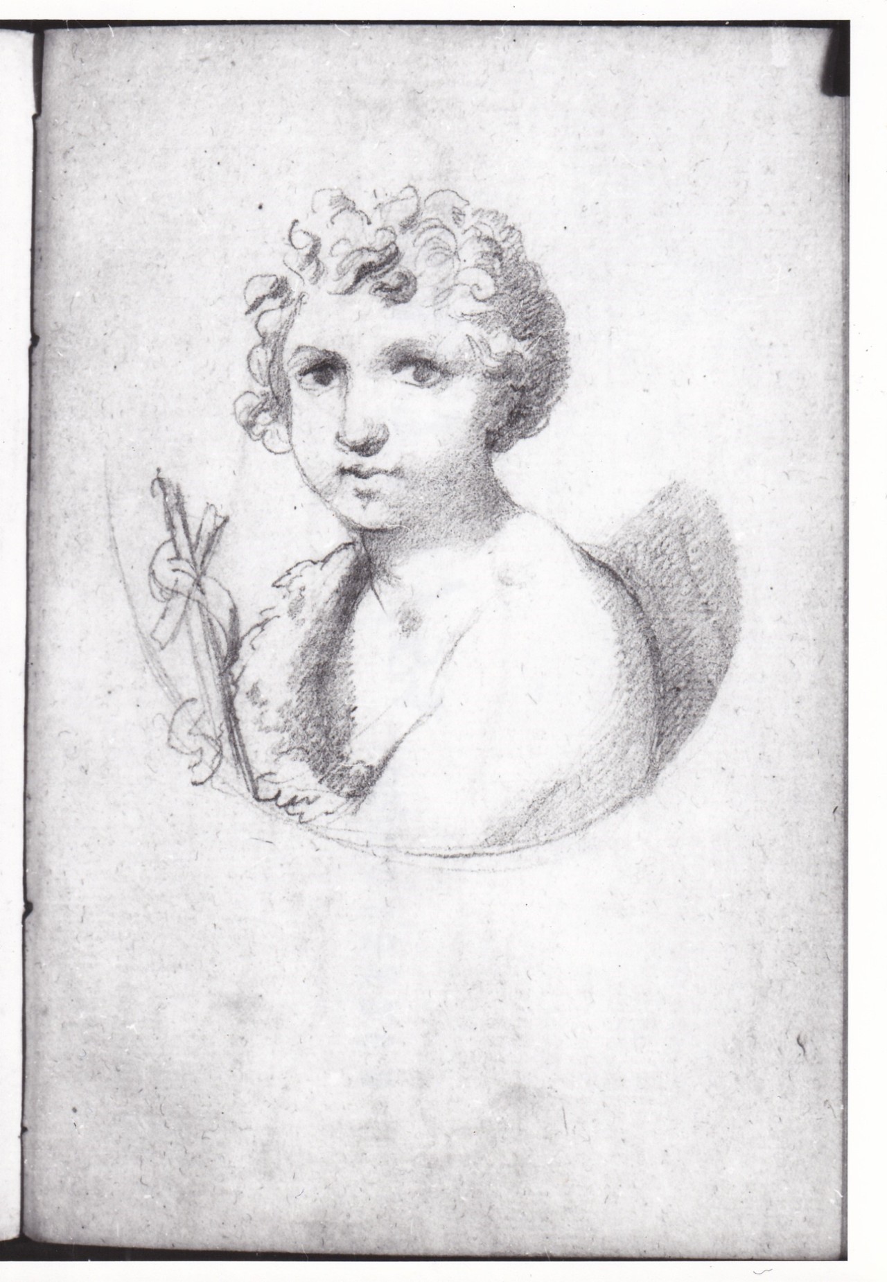 S. Giovannino entro un ovale (disegno) di Bezzuoli Giuseppe (sec. XIX)
