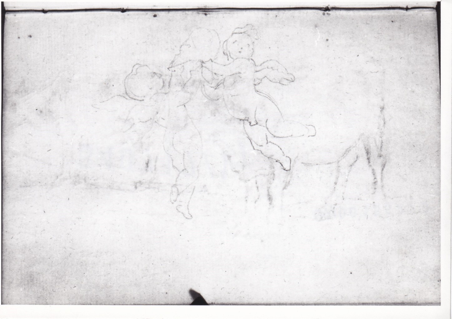 due genietti alati, due bovi (disegno) di Bezzuoli Giuseppe (sec. XIX)