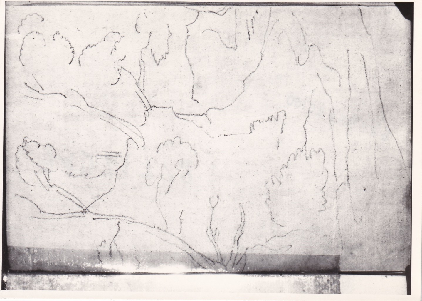 Paesaggio boscoso, Figura di donna con tre fanciulli (disegno) di Bezzuoli Giuseppe (sec. XIX)