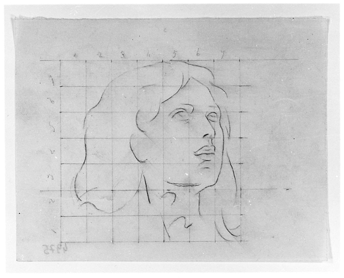 testa di bambino (disegno) di Saltini Pietro (terzo quarto sec. XIX)