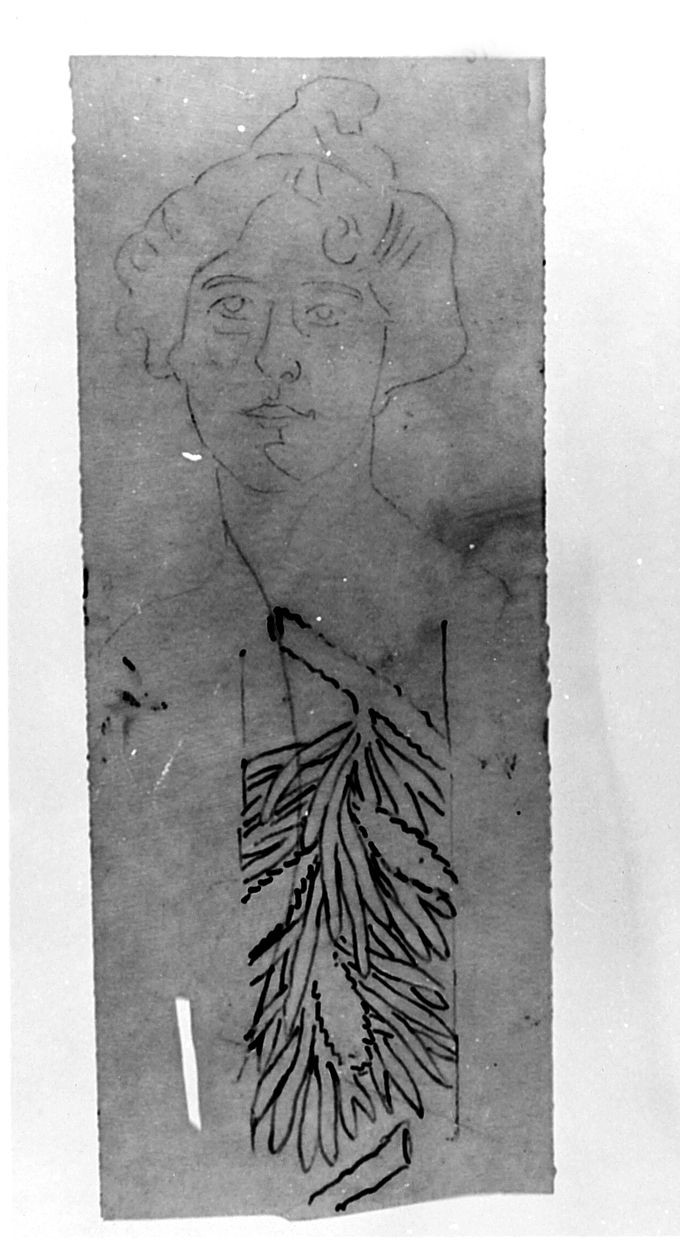 motivi decorativi vegetali/ ritratto di donna (disegno) di Saltini Pietro (terzo quarto sec. XIX)