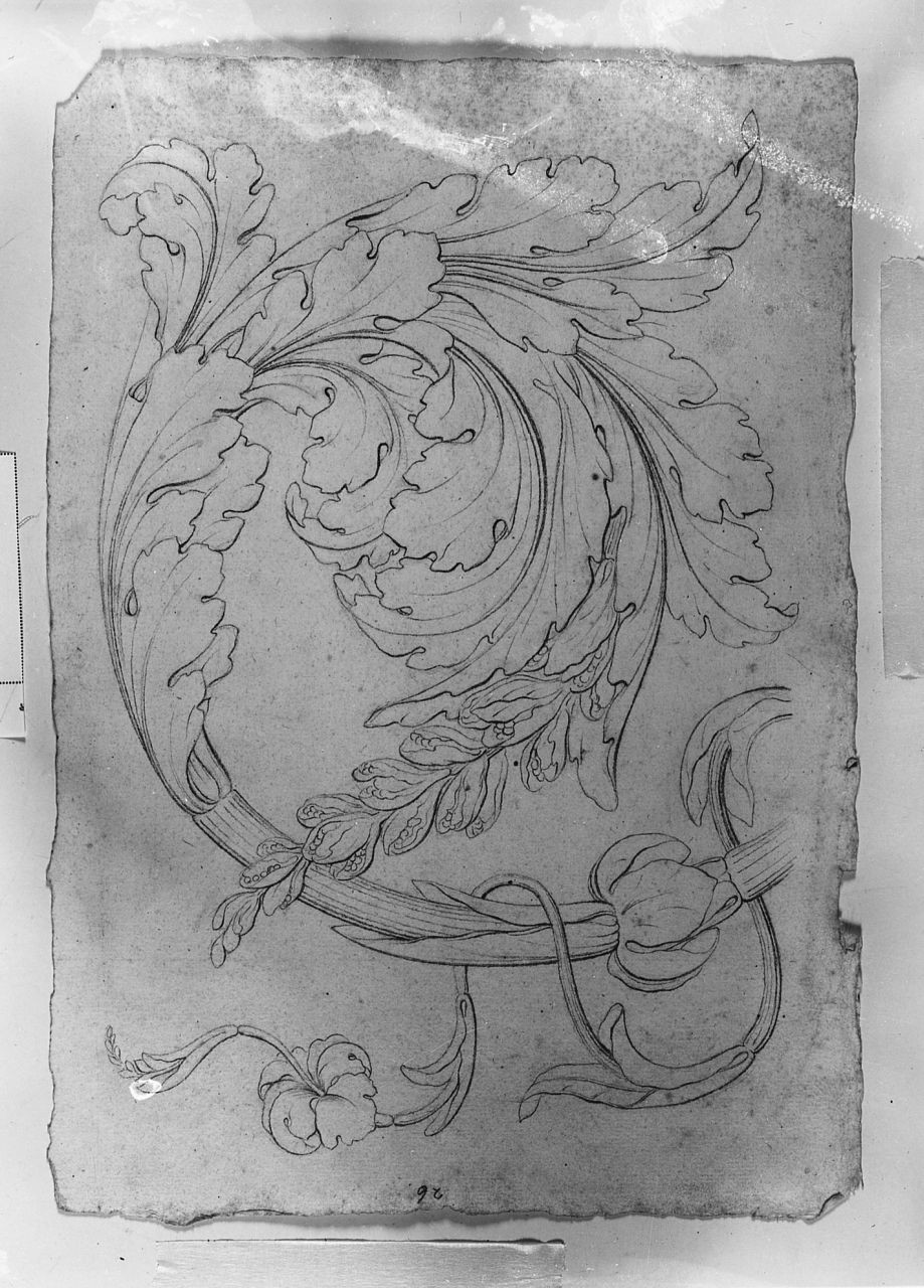 motivi decorativi a foglie d'acanto (disegno) di Saltini Pietro (terzo quarto sec. XIX)