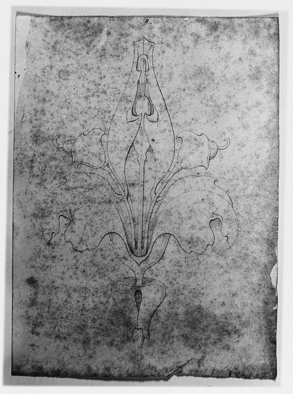 motivo decorativo fitomorfo (disegno) di Saltini Pietro (terzo quarto sec. XIX)