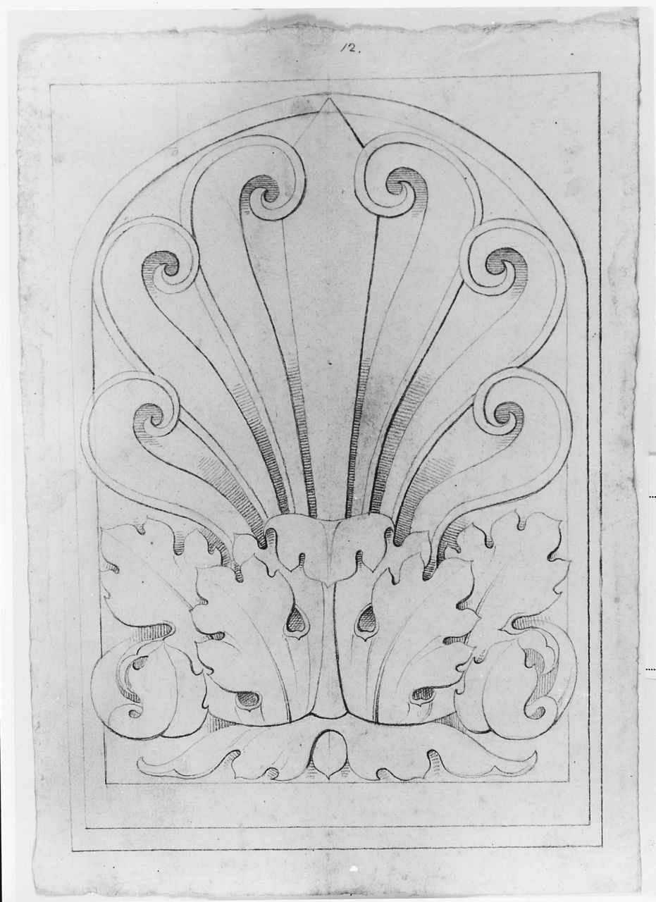 motivi decorativi a foglie d'acanto (disegno) di Saltini Pietro (terzo quarto sec. XIX)
