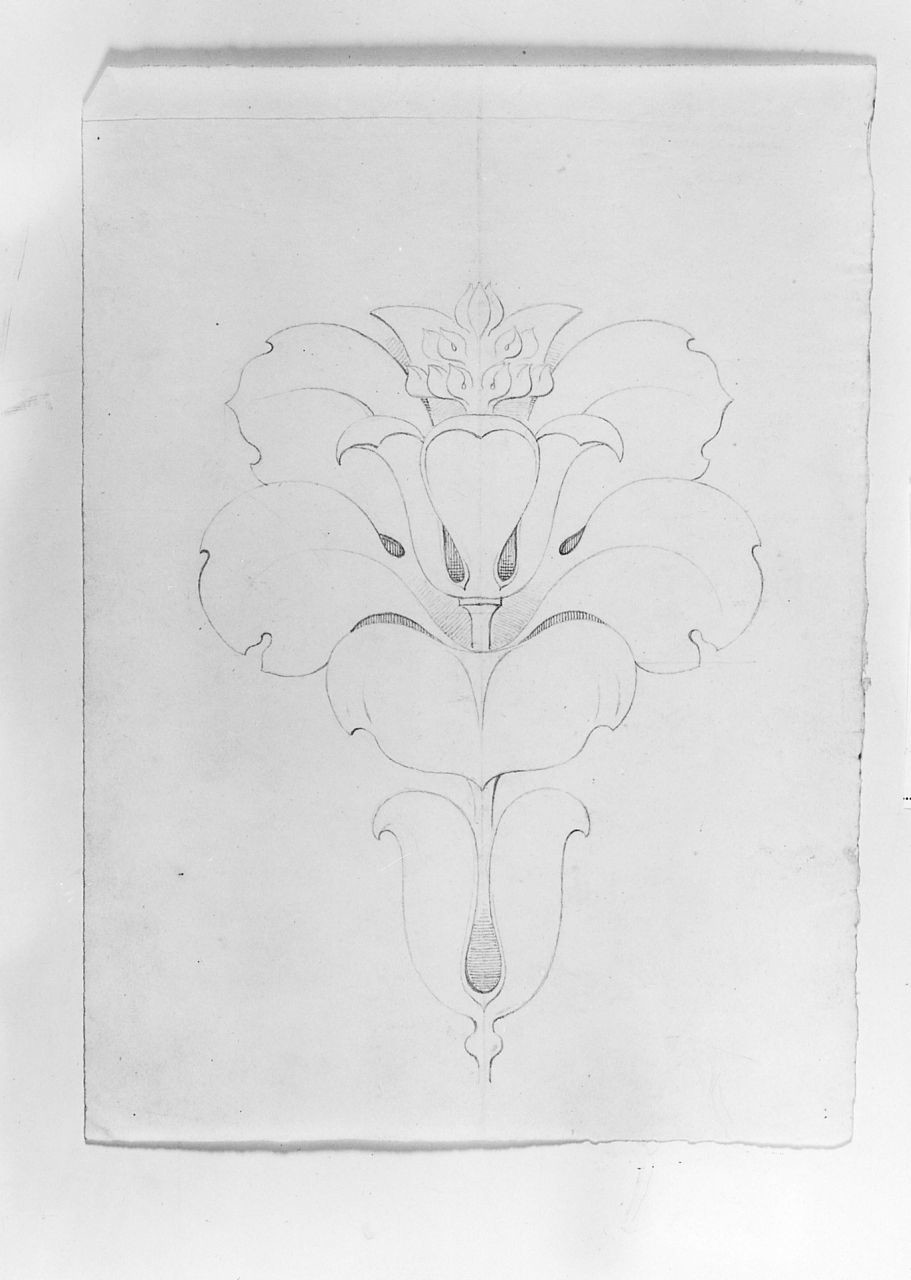 motivo decorativo floreale (disegno) di Saltini Pietro (terzo quarto sec. XIX)