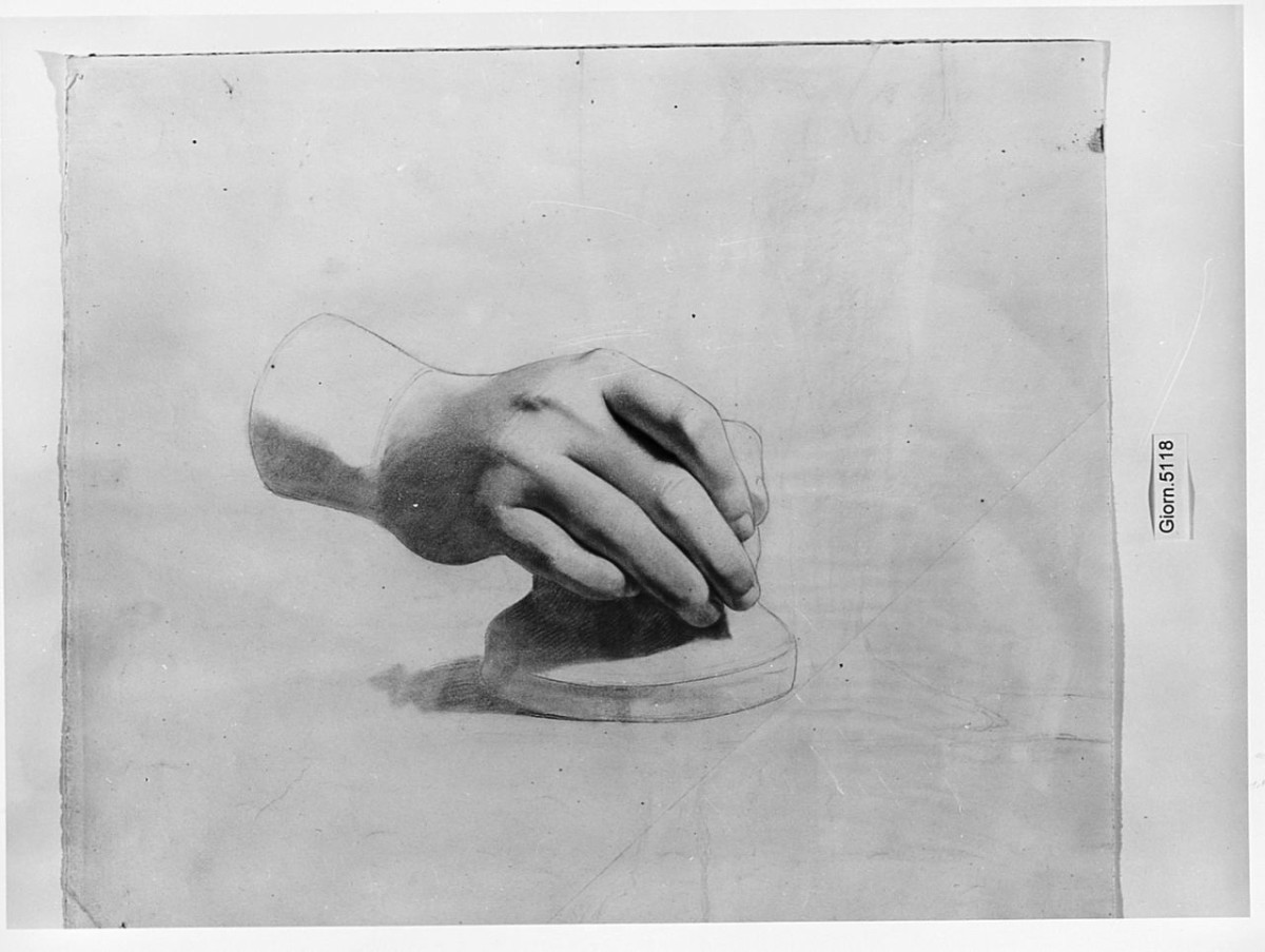 Studio di mano, particolari anatomici (disegno) di Saltini Pietro (terzo quarto sec. XIX)