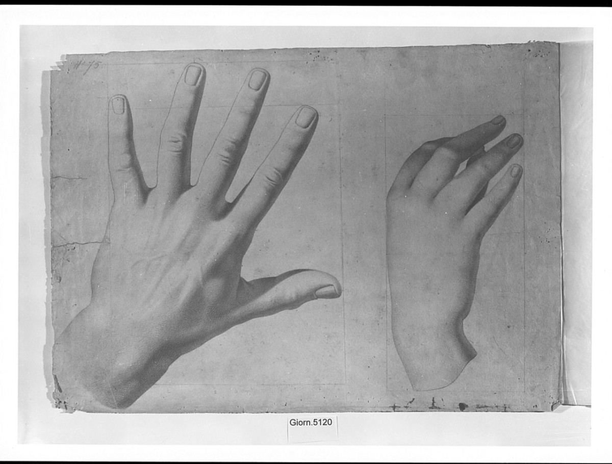 Studio di mani, particolari anatomici (disegno) di Saltini Pietro (terzo quarto sec. XIX)