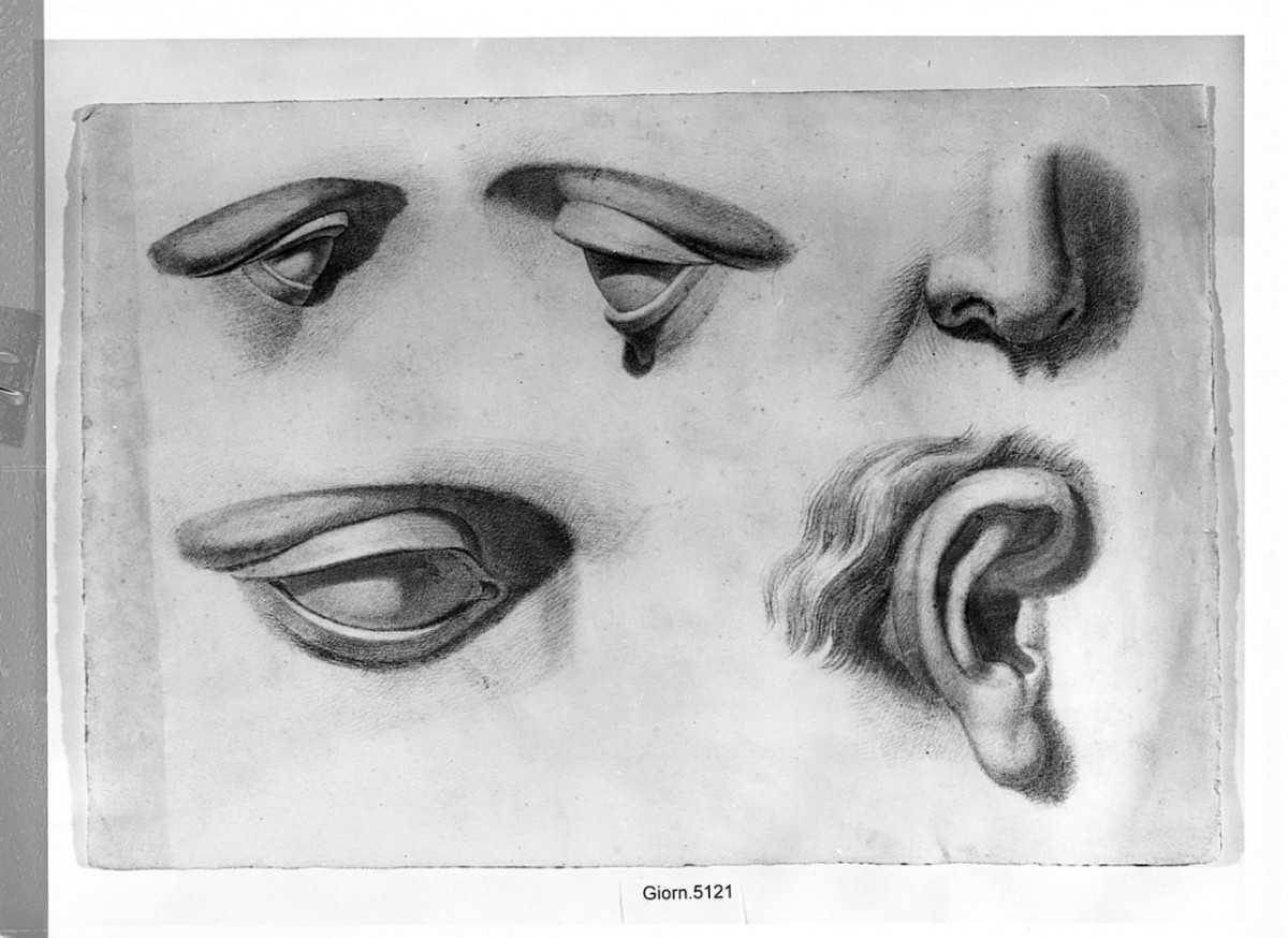 particolari anatomici (disegno) di Saltini Pietro (terzo quarto sec. XIX)