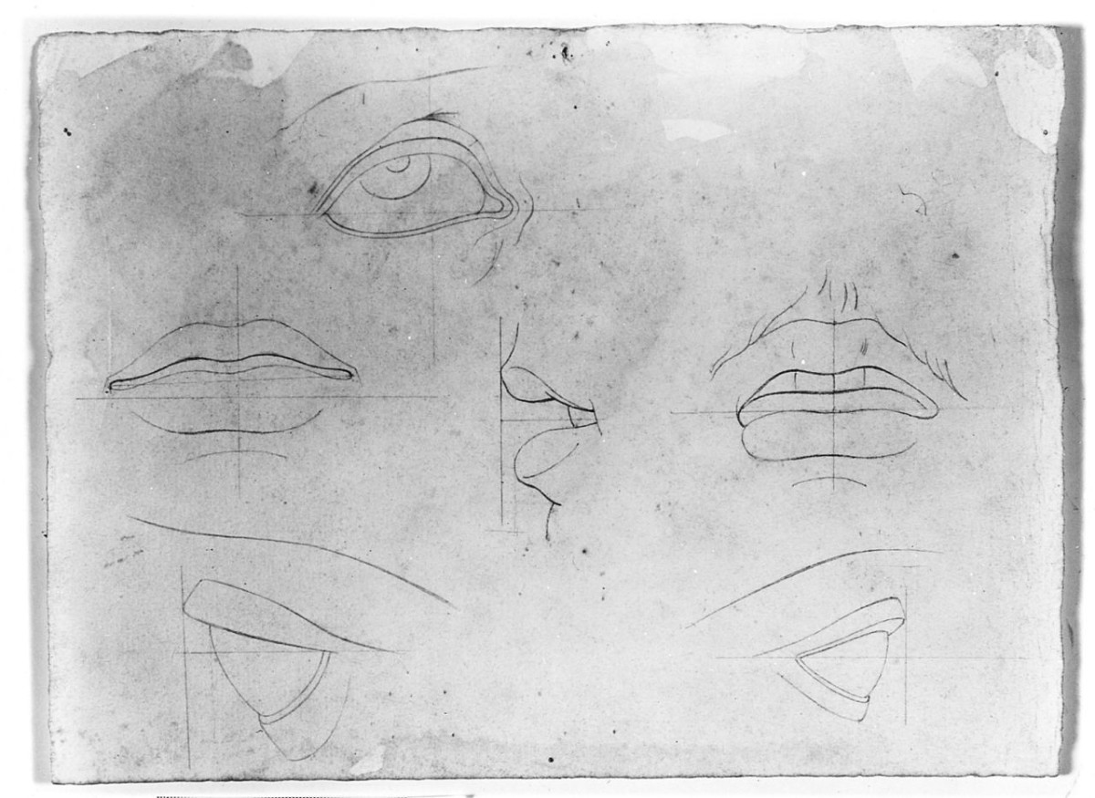 particolari anatomici (disegno) di Saltini Pietro (terzo quarto sec. XIX)