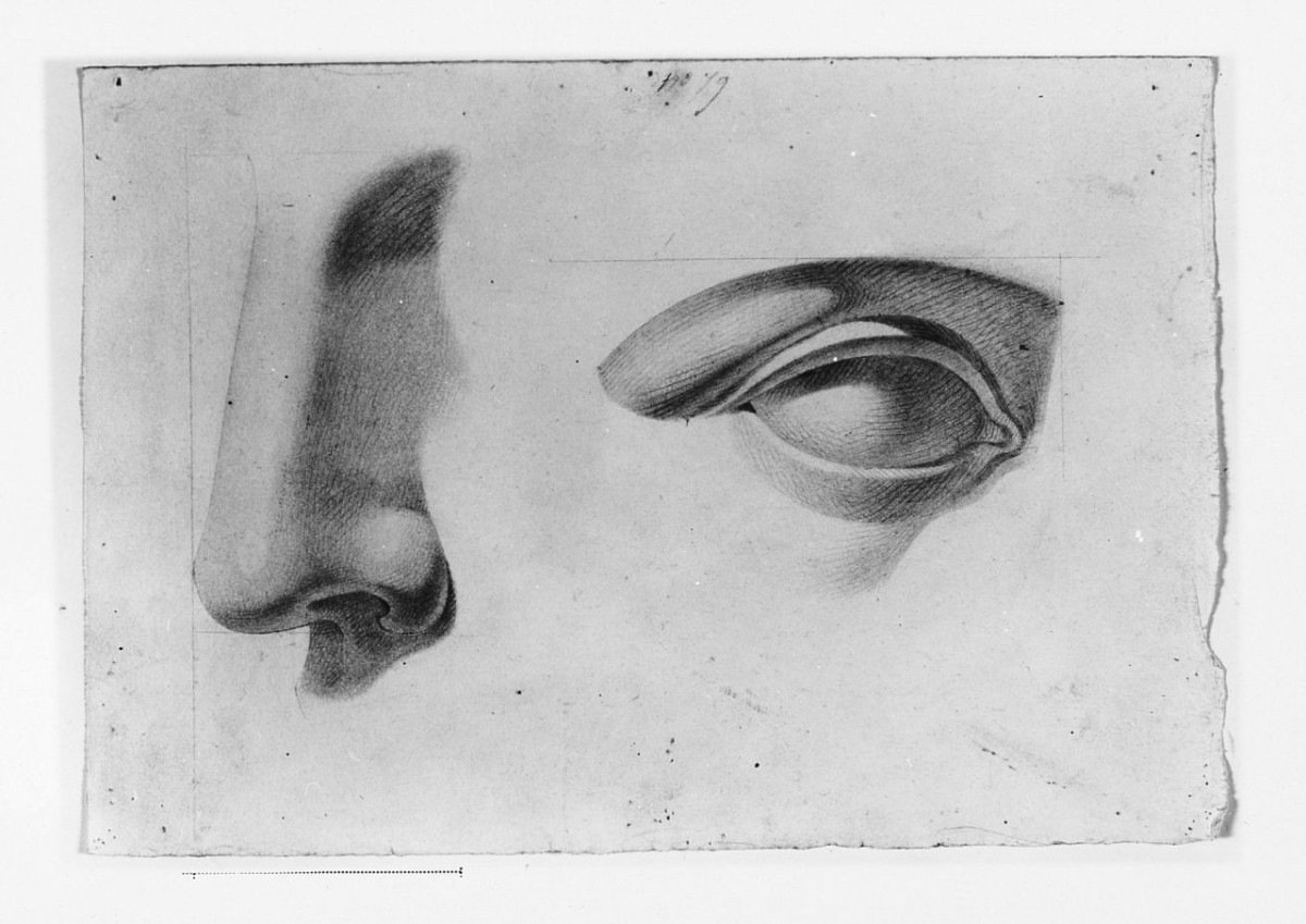 particolari anatomici (disegno) di Saltini Pietro (terzo quarto sec. XIX)