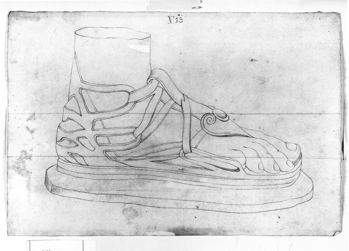 particolari anatomici (disegno) di Saltini Pietro (terzo quarto sec. XIX)