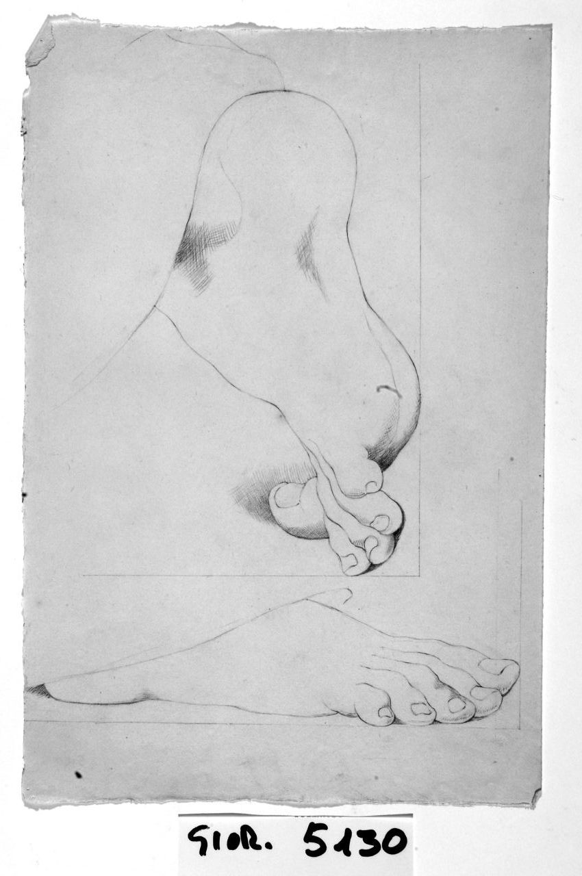 particolari anatomici (disegno) di Saltini Pietro (terzo quarto sec. XIX)