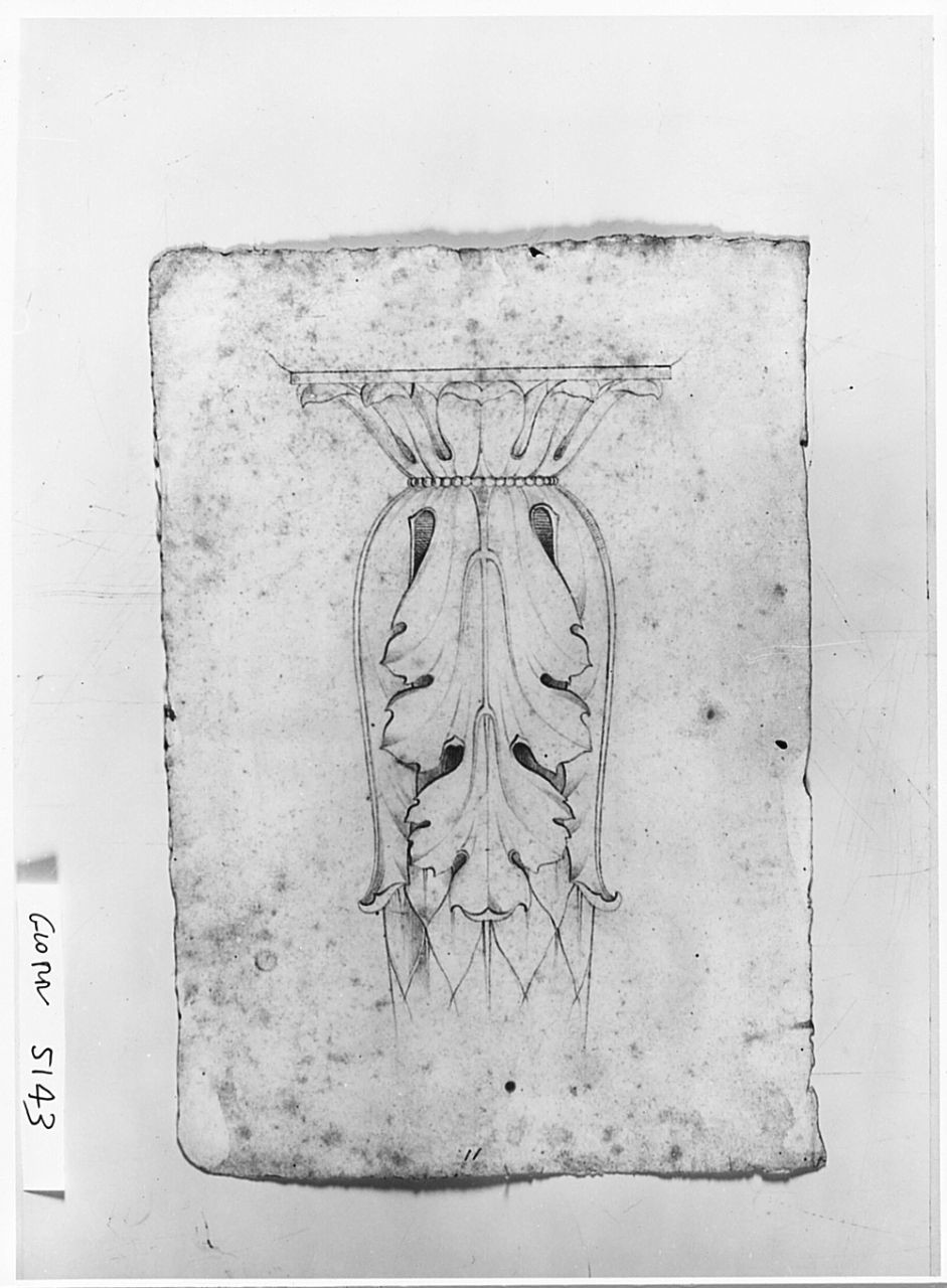 motivi decorativi a foglie d'acanto (disegno) di Saltini Pietro (terzo quarto sec. XIX)