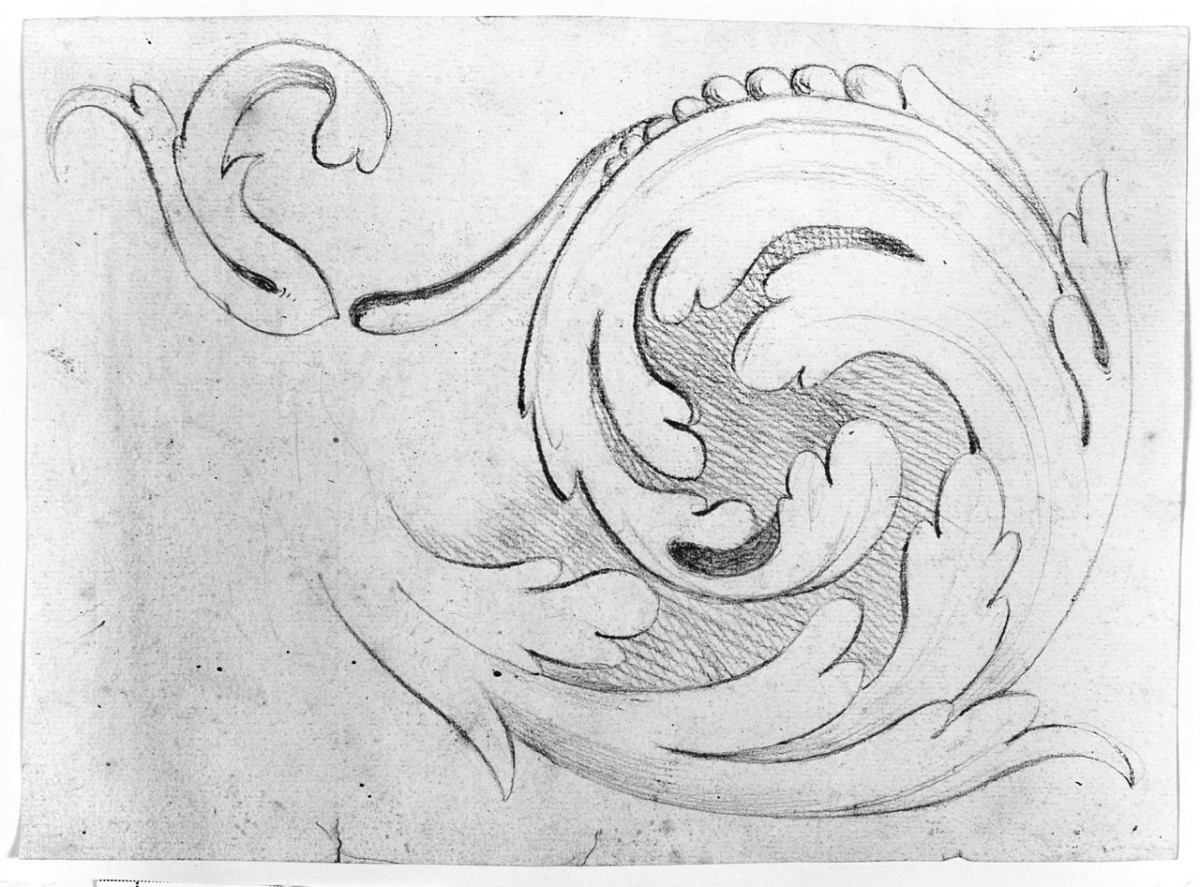 motivi decorativi a girali vegetali (disegno) di Saltini Pietro (terzo quarto sec. XIX)