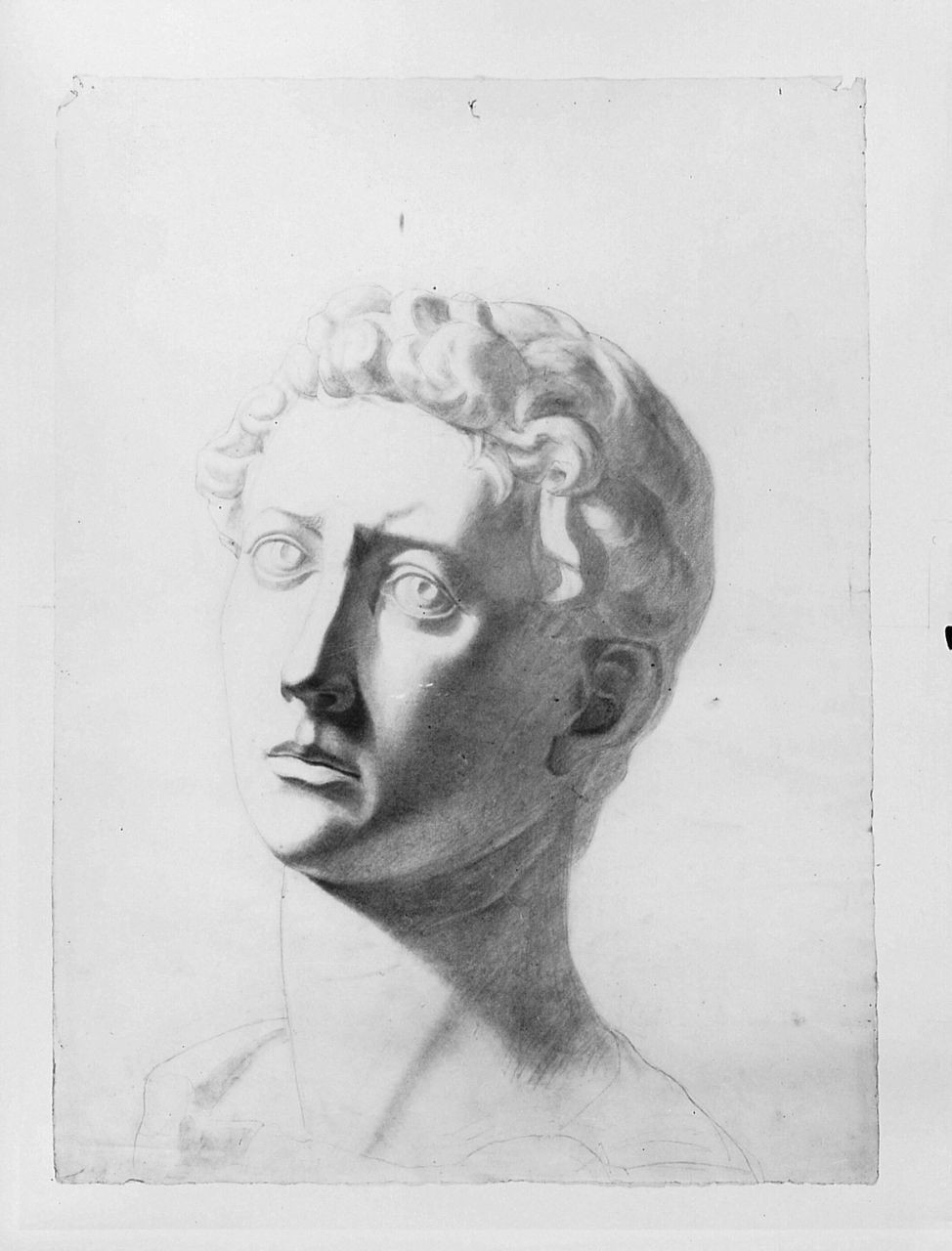 testa d'uomo (disegno) di Saltini Pietro (terzo quarto sec. XIX)