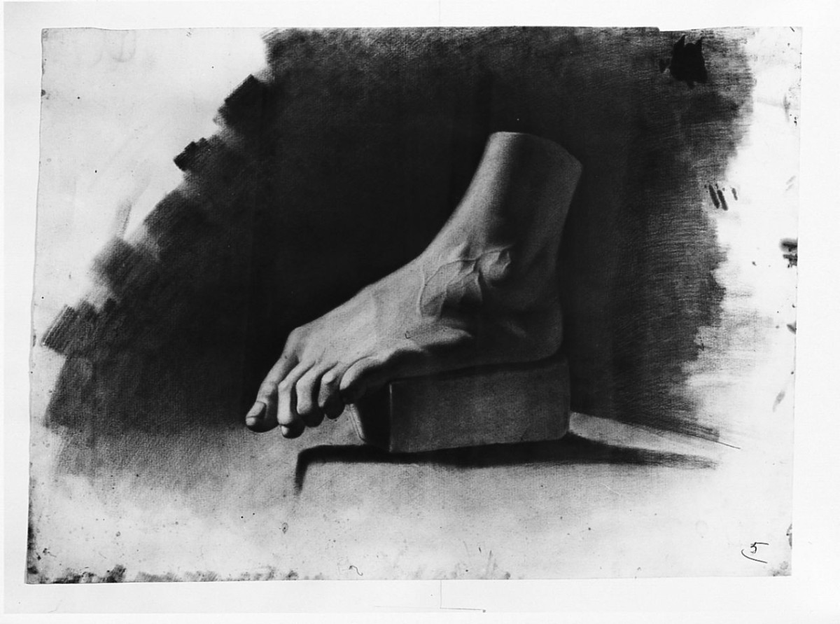 particolari anatomici (disegno) di Saltini Pietro (terzo quarto sec. XIX)