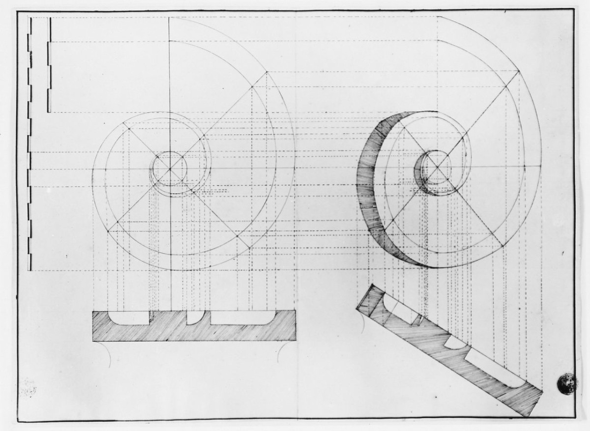 proiezione di due volute, disegno geometrico (disegno) di Saltini Pietro (terzo quarto sec. XIX)