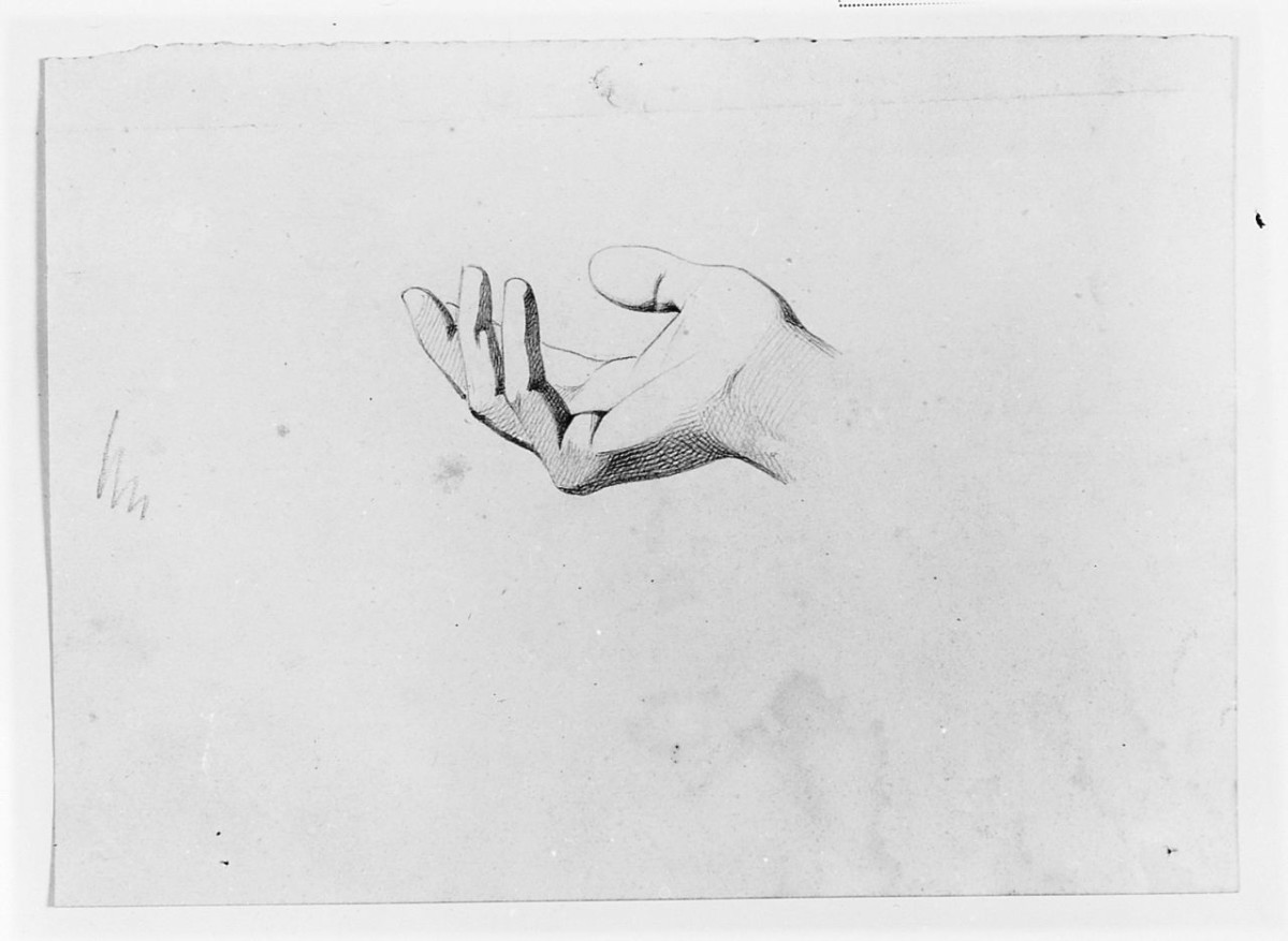 particolari anatomici (disegno) di Saltini Pietro (terzo quarto sec. XIX)